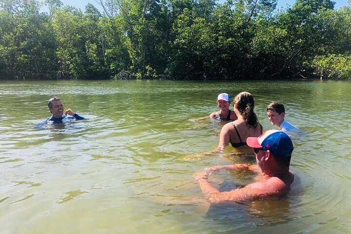 Nyt en avslappende kajakktur som utforsker mangrover og dyreliv på Marco Island, Florida, foto 14 | wizardtrip