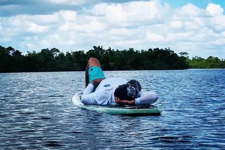 Nyt en avslappende kajakktur som utforsker mangrover og dyreliv på Marco Island, Florida, foto 15 | wizardtrip
