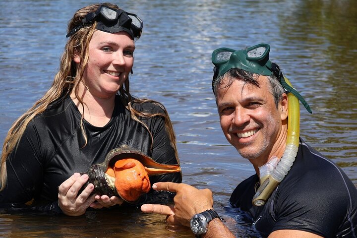 Nyt en avslappende kajakktur som utforsker mangrover og dyreliv på Marco Island, Florida, foto 16 | wizardtrip