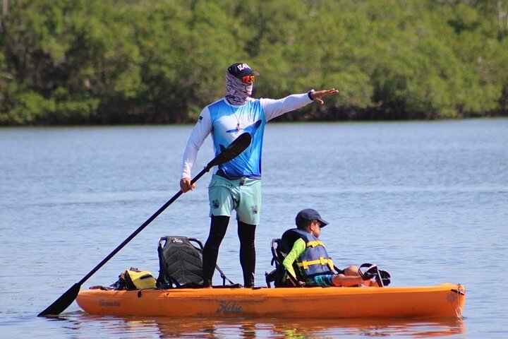 Nyt en avslappende kajakktur som utforsker mangrover og dyreliv på Marco Island, Florida, foto 38 | wizardtrip