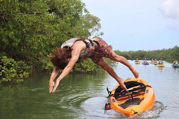 Nyt en avslappende kajakktur som utforsker mangrover og dyreliv på Marco Island, Florida, foto 41 | wizardtrip