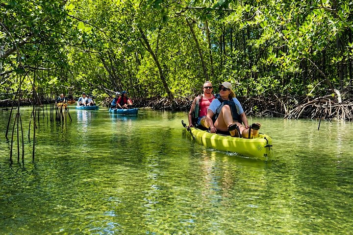 Nyt en avslappende kajakktur som utforsker mangrover og dyreliv på Marco Island, Florida, foto 49 | wizardtrip