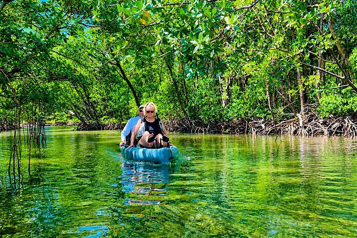 Nyt en avslappende kajakktur som utforsker mangrover og dyreliv på Marco Island, Florida, foto 50 | wizardtrip