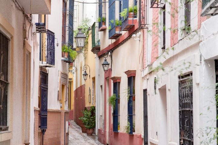 A guided walking tour exploring Seville's monumental landmarks and historic squares, photo 12 | wizardtrip