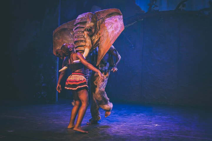 Una vivace rappresentazione teatrale che mostra la cultura e lo storytelling africano alle Cascate Vittoria, foto 16 | wizardtrip
