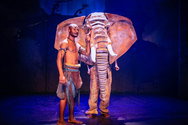 Una vivace rappresentazione teatrale che mostra la cultura e lo storytelling africano alle Cascate Vittoria, foto 17 | wizardtrip