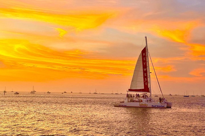 Key West Sonnenuntergang Katamaranfahrt mit Live-Musik, offener Bar und Vorspeisen, Foto 9 | wizardtrip