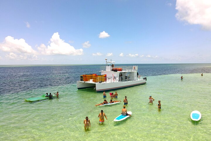 Key West zandbank safari en dolfijnentour met onbeperkte drankjes en lunch, foto 8 | wizardtrip