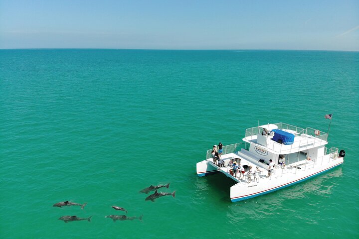 Key West zandbank safari en dolfijnentour met onbeperkte drankjes en lunch, foto 13 | wizardtrip