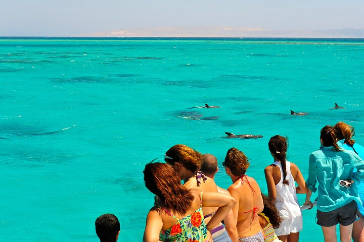 Key West zandbank safari en dolfijnentour met onbeperkte drankjes en lunch, foto 14 | wizardtrip