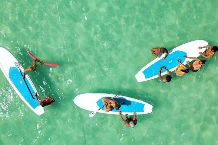 Key West zandbank safari en dolfijnentour met onbeperkte drankjes en lunch, foto 16 | wizardtrip