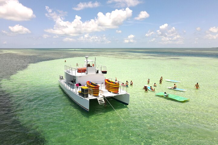 Key West zandbank safari en dolfijnentour met onbeperkte drankjes en lunch, foto 17 | wizardtrip