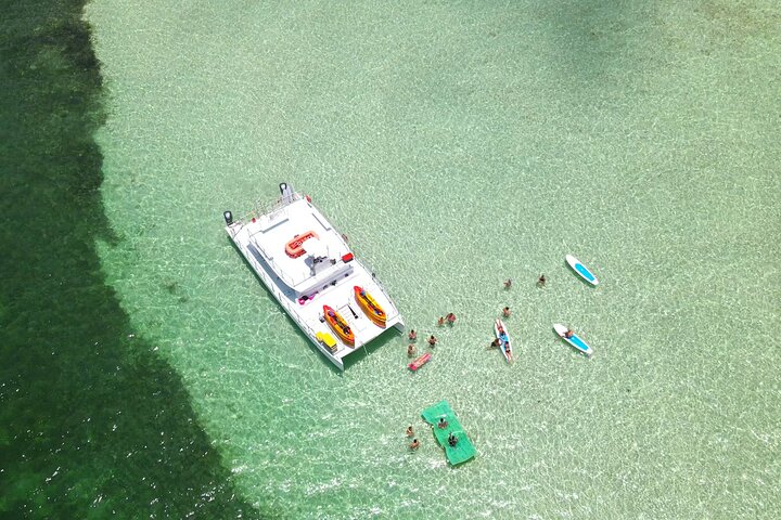 Key West zandbank safari en dolfijnentour met onbeperkte drankjes en lunch, foto 24 | wizardtrip