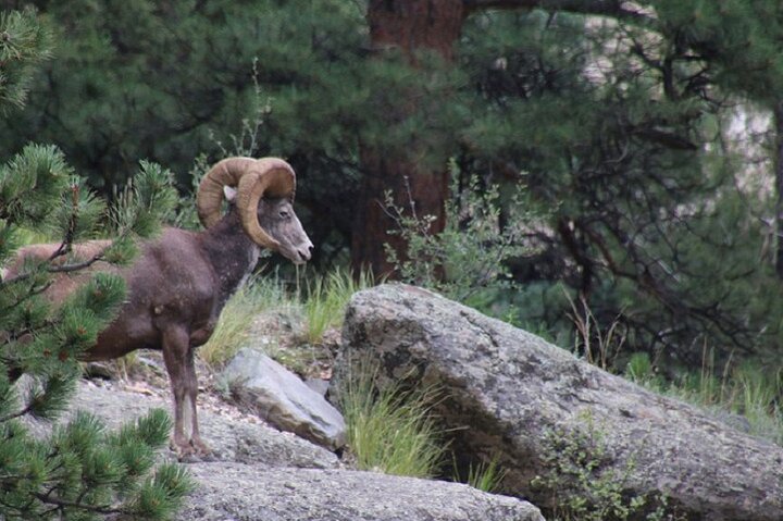Estes Park | wizardtrip