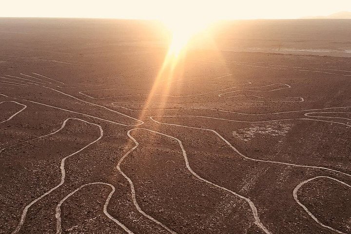 Entdecken Sie Perus Küste: Flug zu den Nazca-Linien, Tierwelt in Paracas und Wüstenabenteuer in Huacachina, Foto 8 | wizardtrip
