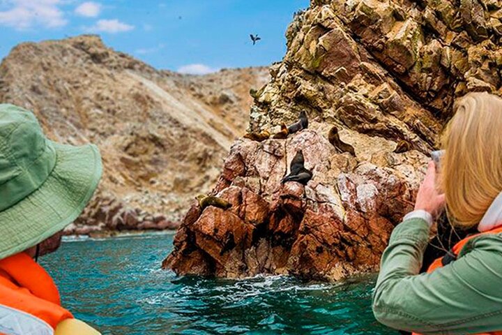 Day trip from Lima to Paracas and Huacachina, featuring islands, desert oasis, and pisco tasting, photo 12 | wizardtrip