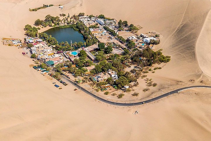 Day trip from Lima to Paracas and Huacachina, featuring islands, desert oasis, and pisco tasting, photo 19 | wizardtrip