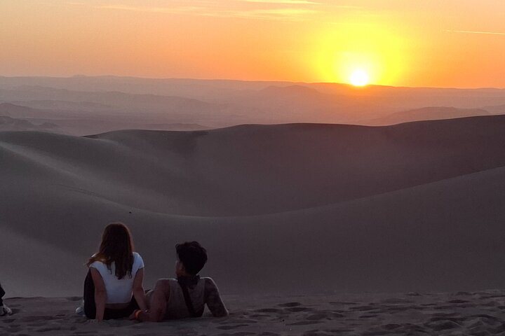 Day trip from Lima to Paracas and Huacachina, featuring islands, desert oasis, and pisco tasting, photo 20 | wizardtrip