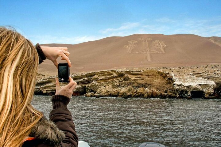 Heldagstur fra Lima til Paracas, med dyreliv, ørkenlandskap og historiske tunneler, foto 8 | wizardtrip
