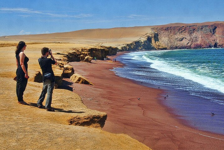 Heldagstur fra Lima til Paracas, med dyreliv, ørkenlandskap og historiske tunneler, foto 10 | wizardtrip