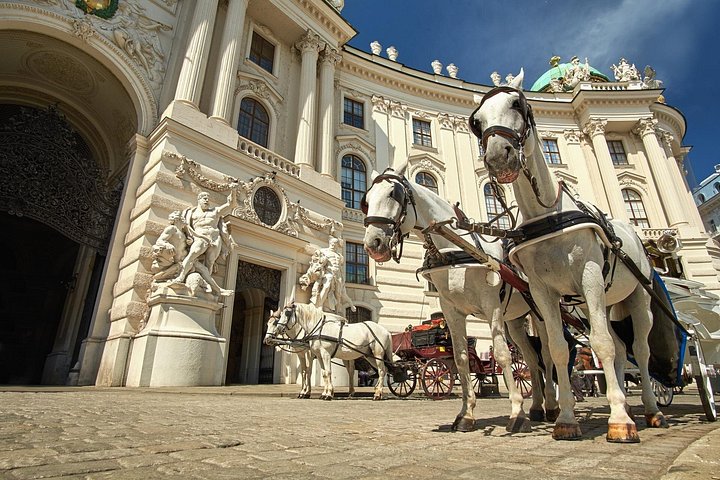 Entdecken Sie die Wiener Hofburg, das Sisi Museum und kaiserliche Gärten auf einer geführten Tour ohne Anstehen, Foto 10 | wizardtrip