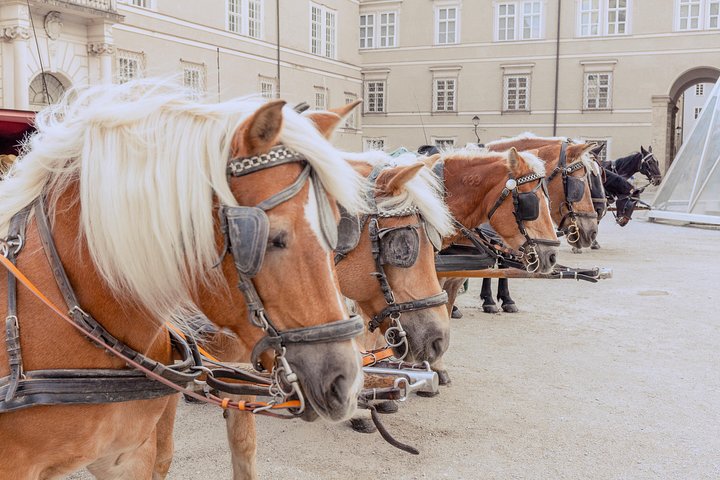 Endagstur til Salzburg fra München med tog, med Mozarts fødested og Alperne, foto 16 | wizardtrip