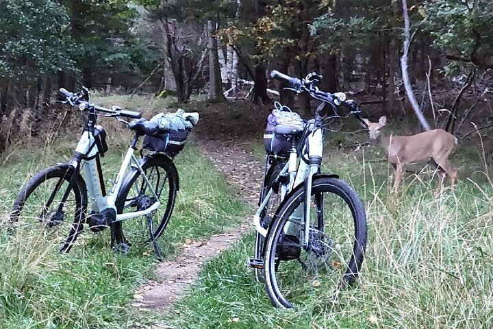 Guidet e-bike tur gennem de naturskønne Carriage Roads i Acadia National Park, Bar Harbor, foto 7 | wizardtrip