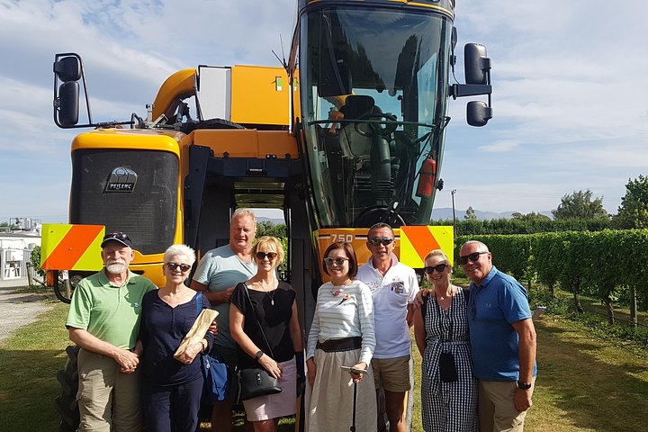 Ganztägige Weinprobe-Tour in Marlborough, Neuseeland, mit Weingutbesuchen und Weinproben, Foto 11 | wizardtrip