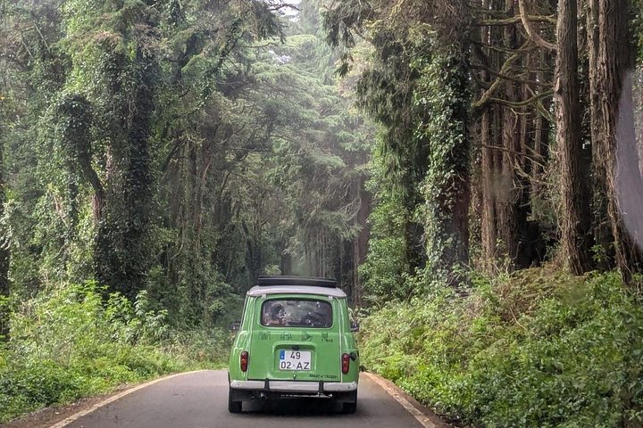 Private Tour durch Sintras Paläste, Berge und Küste in einem Oldtimer mit lokalen Reiseleitern, Foto 30 | wizardtrip