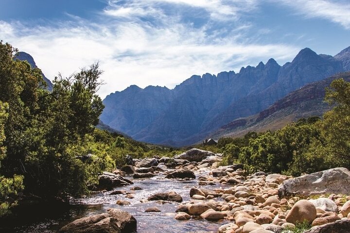Erleben Sie eine Big Five Safari und eine landschaftlich reizvolle Breede River Valley Tour von Kapstadt aus, Foto 6 | wizardtrip