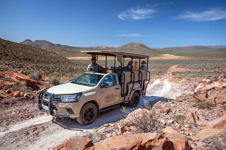 Erleben Sie eine Big Five Safari und eine landschaftlich reizvolle Breede River Valley Tour von Kapstadt aus, Foto 11 | wizardtrip