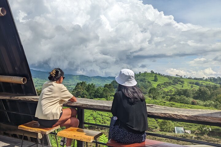 Privétour van White Crater, theevelden en warmwaterbronnen in Bandung, Indonesië, foto 15 | wizardtrip