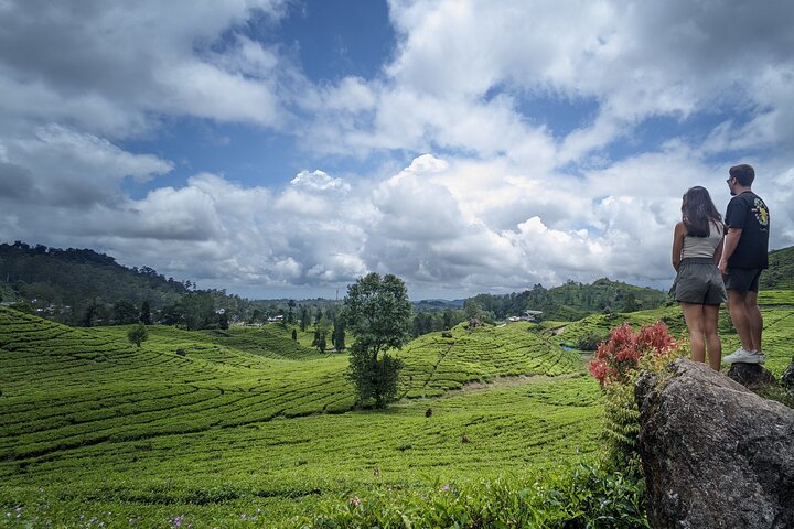 Privétour van White Crater, theevelden en warmwaterbronnen in Bandung, Indonesië, foto 17 | wizardtrip