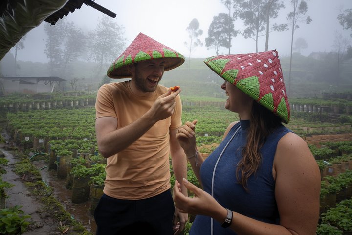Privétour van White Crater, theevelden en warmwaterbronnen in Bandung, Indonesië, foto 19 | wizardtrip