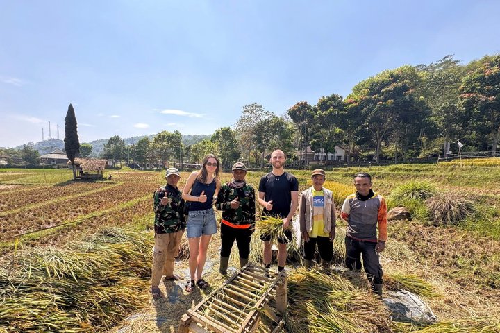Privétour van White Crater, theevelden en warmwaterbronnen in Bandung, Indonesië, foto 23 | wizardtrip