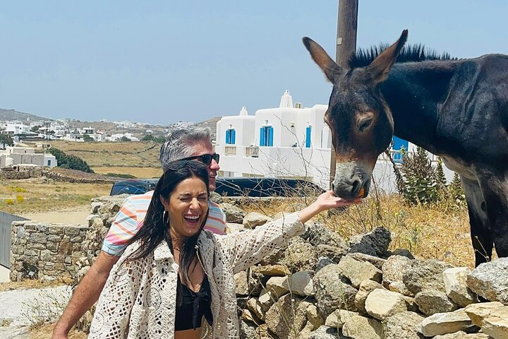 Tour por la isla de Mykonos con molinos de viento, playas y arquitectura tradicional, foto 10 | wizardtrip