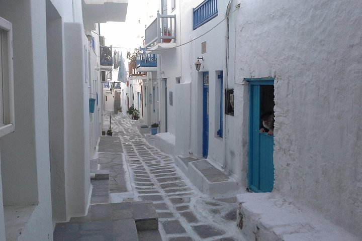 Tour por la isla de Mykonos con molinos de viento, playas y arquitectura tradicional, foto 13 | wizardtrip