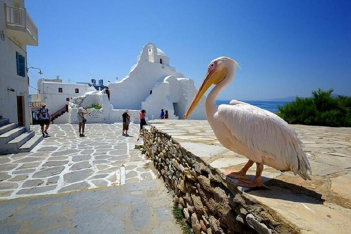 Tour por la isla de Mykonos con molinos de viento, playas y arquitectura tradicional, foto 15 | wizardtrip