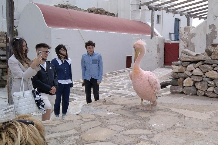 Tour por la isla de Mykonos con molinos de viento, playas y arquitectura tradicional, foto 24 | wizardtrip
