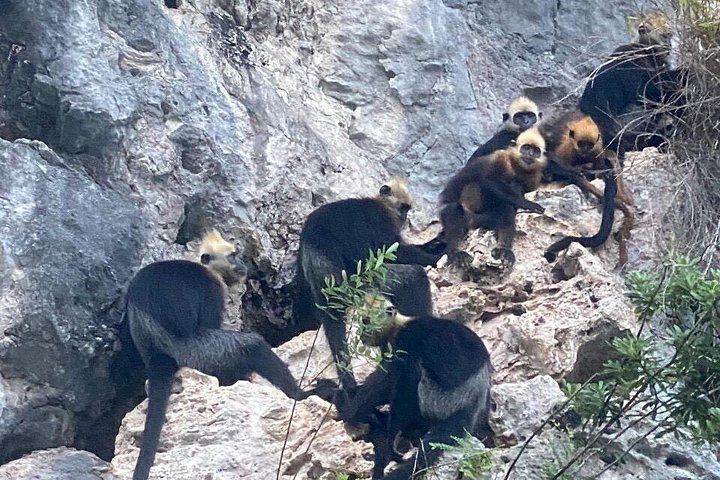 Heldags båttur som utforskar Lan Ha och Ha Long Bay från Cat Ba, med kajakpaddling och bad, foto 31 | wizardtrip