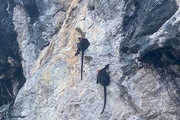 Heldags båttur som utforskar Lan Ha och Ha Long Bay från Cat Ba, med kajakpaddling och bad, foto 32 | wizardtrip