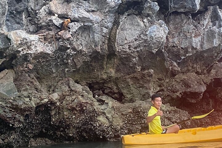 Heldags båttur som utforskar Lan Ha och Ha Long Bay från Cat Ba, med kajakpaddling och bad, foto 33 | wizardtrip