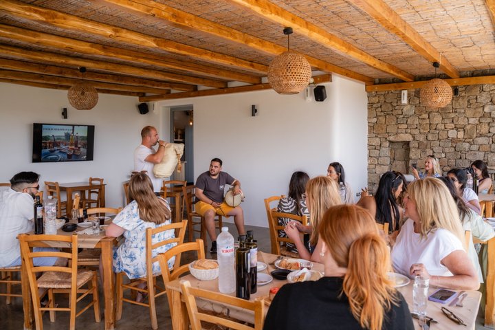 ギリシャ、ミコノス島のワインテイスティングとブドウ畑ツアー、写真30 | wizardtrip
