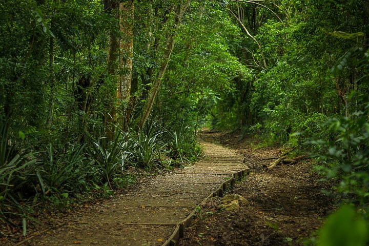 Passeio de aventura às 27 Cascatas de Damajagua em Puerto Plata, República Dominicana, com escorregas e piscinas naturais, foto 43 | wizardtrip