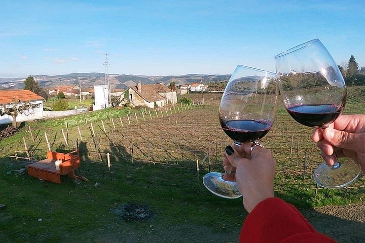 Tour em grupo pequeno no Vale do Douro, Portugal, com prova de vinhos, cruzeiro fluvial e vistas panorâmicas das vinhas, foto 9 | wizardtrip