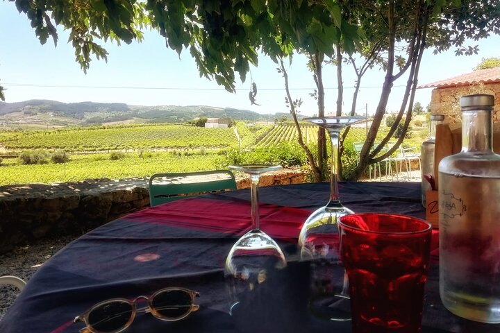 Tour em grupo pequeno no Vale do Douro, Portugal, com prova de vinhos, cruzeiro fluvial e vistas panorâmicas das vinhas, foto 13 | wizardtrip