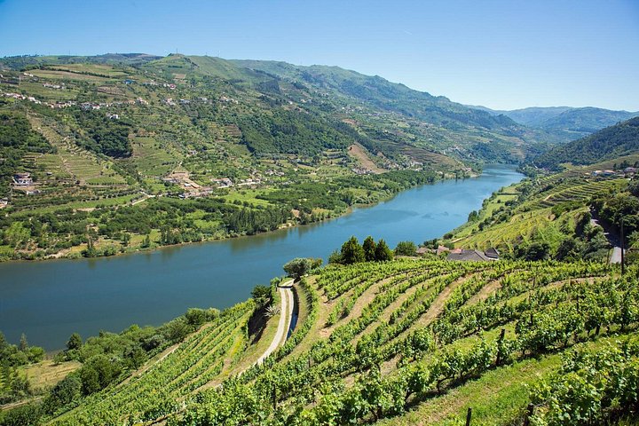 Tour em grupo pequeno no Vale do Douro, Portugal, com prova de vinhos, cruzeiro fluvial e vistas panorâmicas das vinhas, foto 15 | wizardtrip