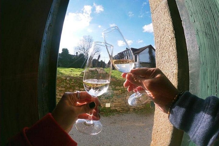 Tour em grupo pequeno no Vale do Douro, Portugal, com prova de vinhos, cruzeiro fluvial e vistas panorâmicas das vinhas, foto 20 | wizardtrip