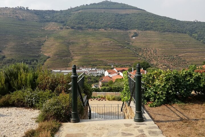 Tour em grupo pequeno no Vale do Douro, Portugal, com prova de vinhos, cruzeiro fluvial e vistas panorâmicas das vinhas, foto 21 | wizardtrip