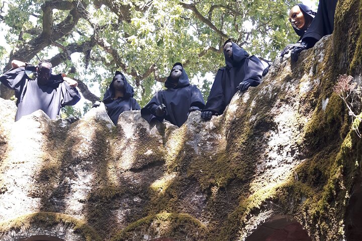 Half-day tour exploring Sintra's Pena Palace and Quinta da Regaleira from Lisbon, photo 6 | wizardtrip